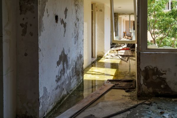 Cost of Water Removal Service in Toms River